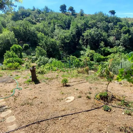 Villa Nid Camporosso (Liguria)
