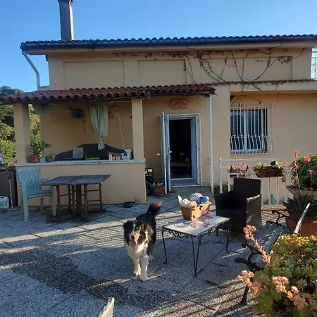 Nid Camporosso (Liguria)