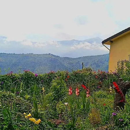 Nid Camporosso (Liguria)