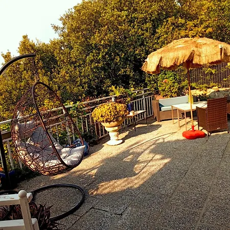 Villa Nid *
